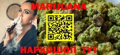 индика Обь