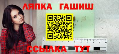 индика Обь