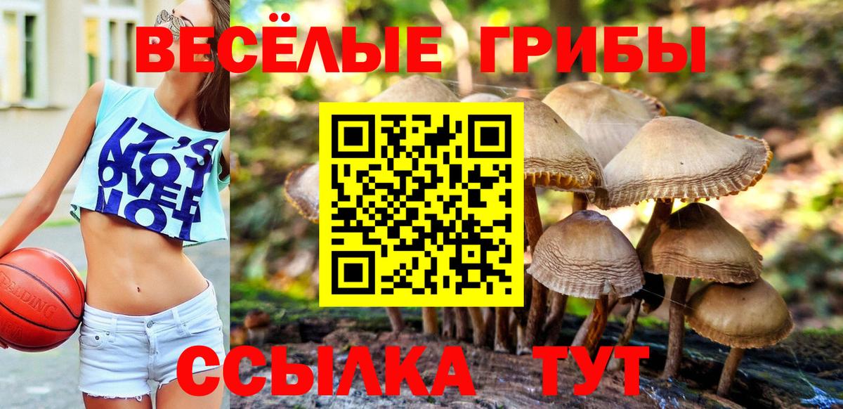 Псилоцибиновые грибы мицелий Ступино